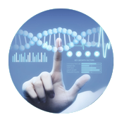 墨西哥代孕费用